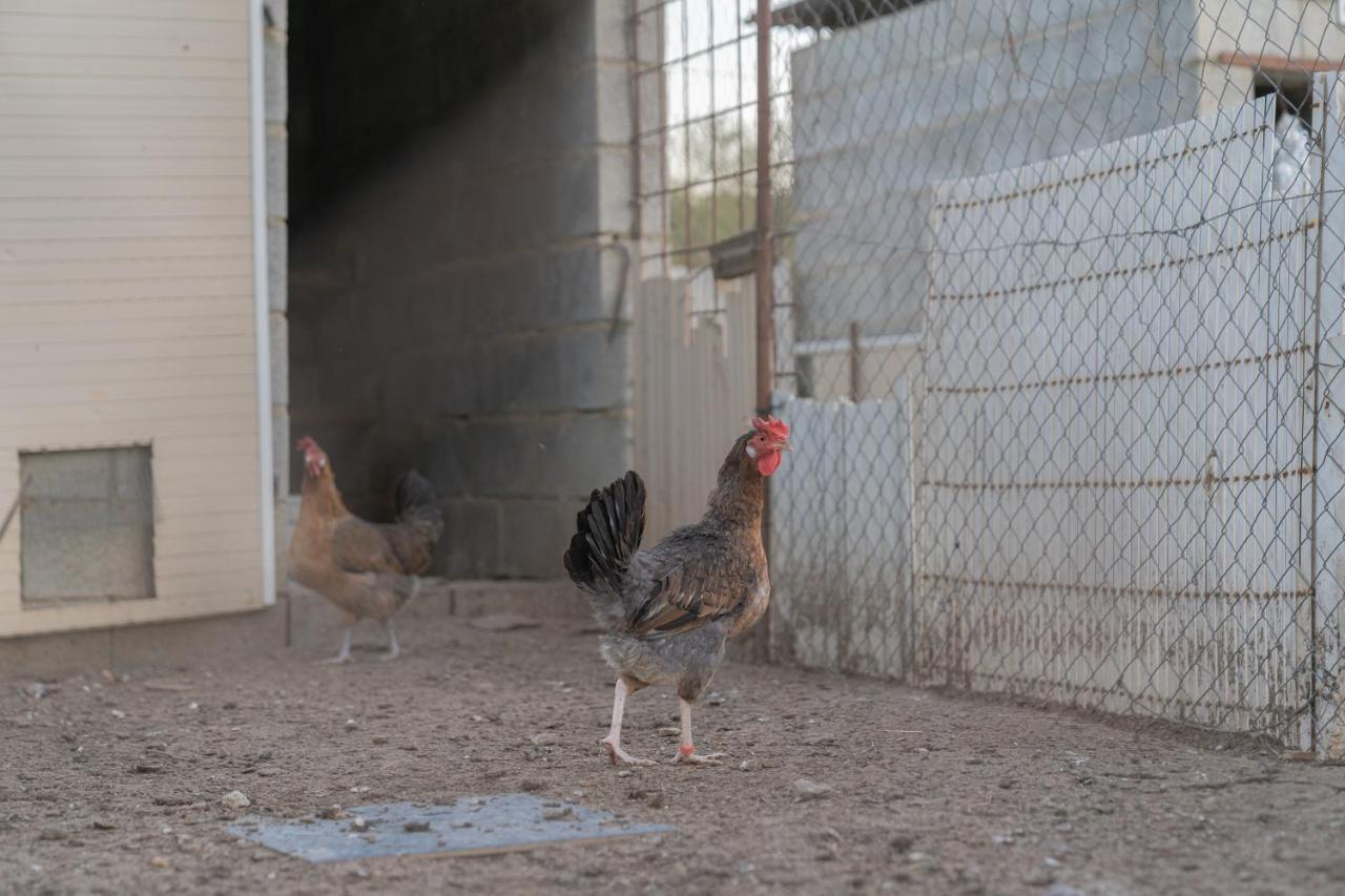 Alojamiento Rural Junto A Via Verde Olvera Eksteriør bilde